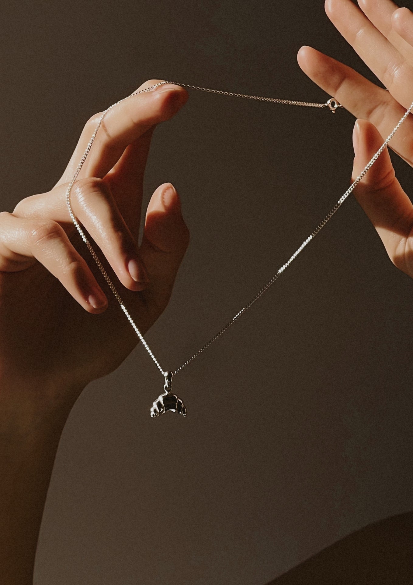 Croissant Necklace Silver