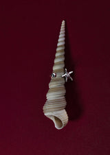 NO MORE accessories Sea Star Open Ring in Silver