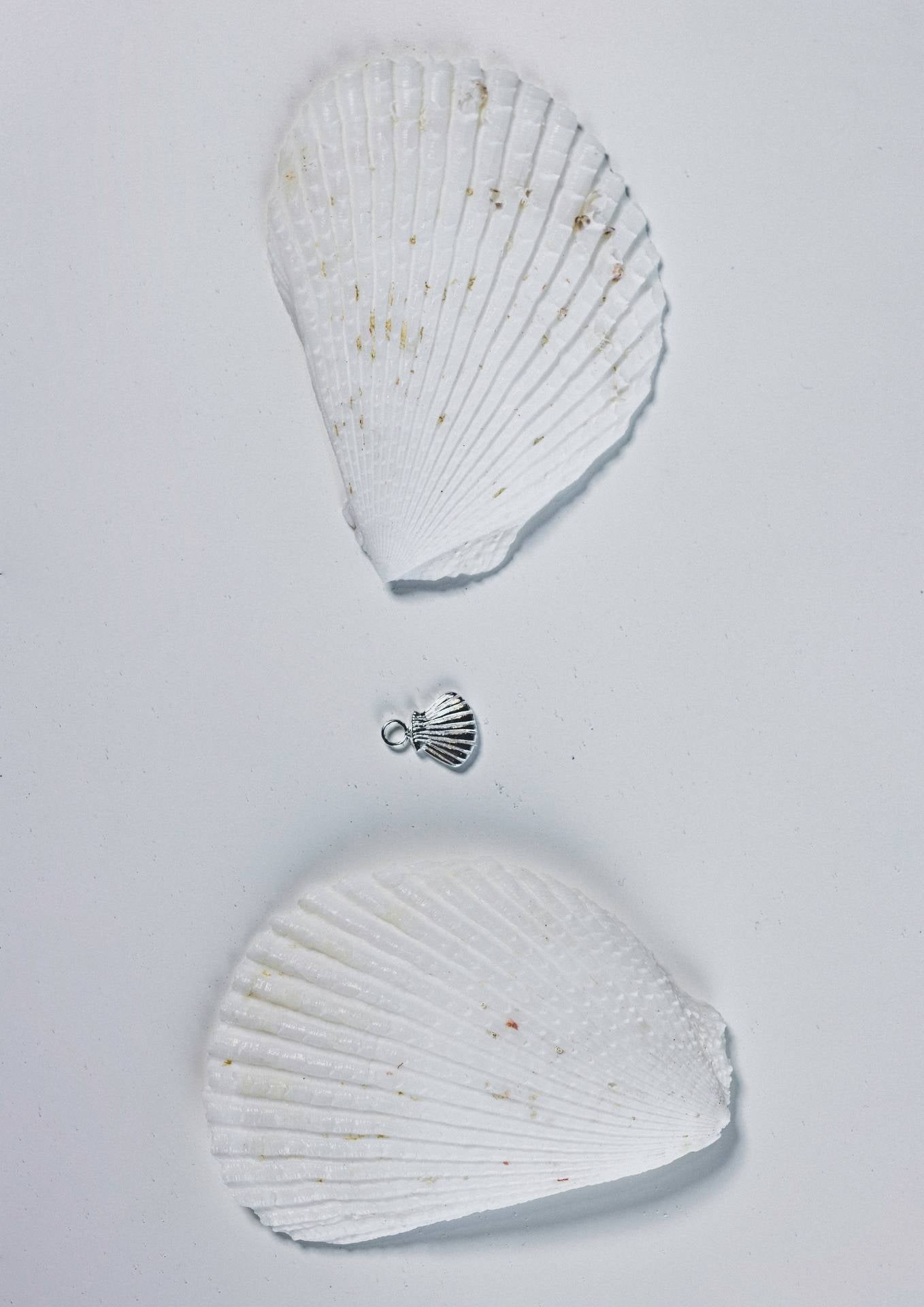 No More accessories Sea Shell Charm in Silver