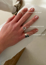 Dorado Ring Silver