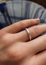 no more accessories the own ring silver